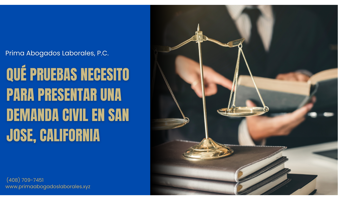 qué evidencia necesito para una demanda San Jose